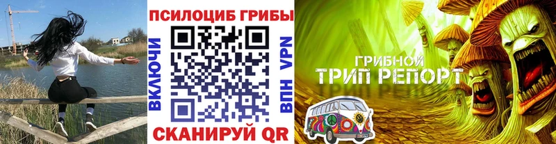Псилоцибиновые грибы мухоморы купить наркоту Зверево